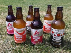 MDAY Cider Bundle